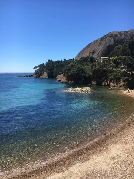 Blue Summer Vibes Mini Studio For Two, Ac, Parking, Beach At 50M, Spa Access -2 La Ciotat Eksteriør billede